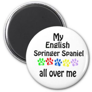 English Springer Spaniel Walks Design Magnet