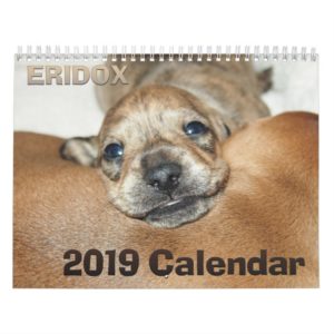 Eridox Dachshunds 2019 Calendar
