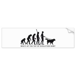 evolution dog bumper sticker