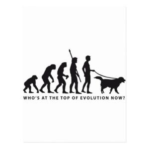 evolution dog postcard
