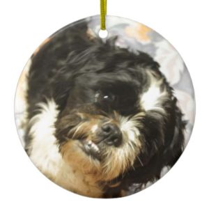 FB_IMG_1481505521015 Shitzu dog Ceramic Ornament