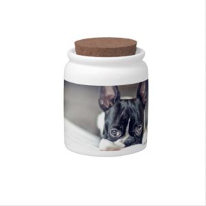 Fina the Boston Terrier Candy Jar