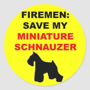 Fireman Save My Miniature Schnauzer Classic Round Sticker