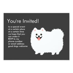 Fluffy White Pomeranian Invitation
