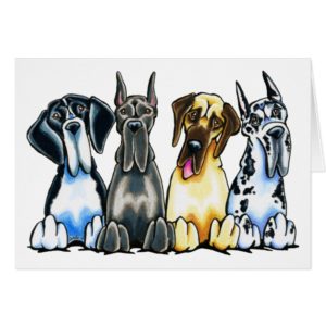 Four Great Danes