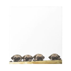Four Pugs Notepad