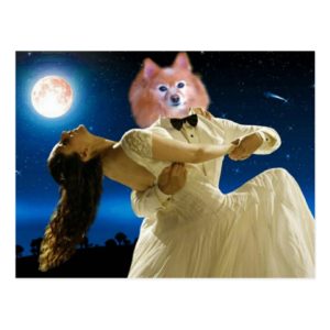 Fox Is A Dancing Fool Postcard
