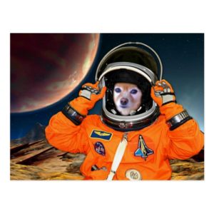 Fox Is An Astronaut #2 Postcard
