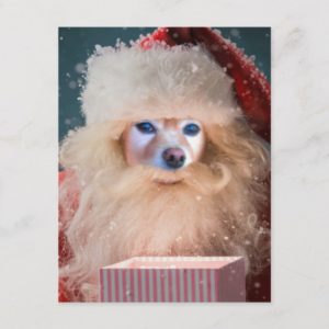 Fox Is Santa With A Gift Holiday Postcard