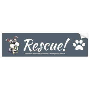 Fozi - Schnauzer Rescue Bumper Sticker