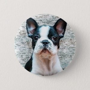 French Bulldog button