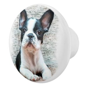 French Bulldog Ceramic Knob