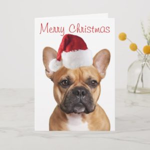 French Bulldog Christmas card