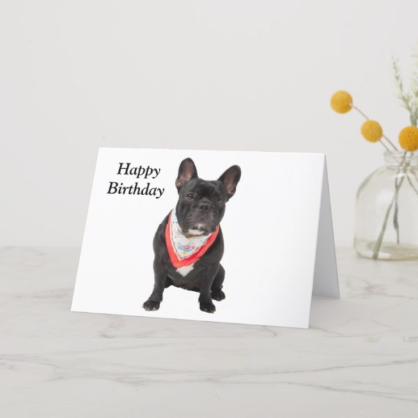 French Bulldog, dog cute photo happy birthday card