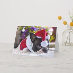 French Bulldog In Santa Hat Under Christmas Tree Holiday Card