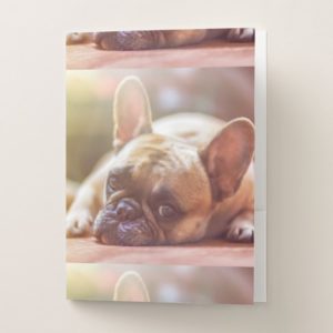 french bulldog laying pocket folder