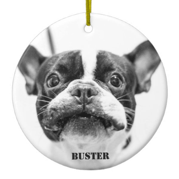 French Bulldog Ornament Add Custom Photo