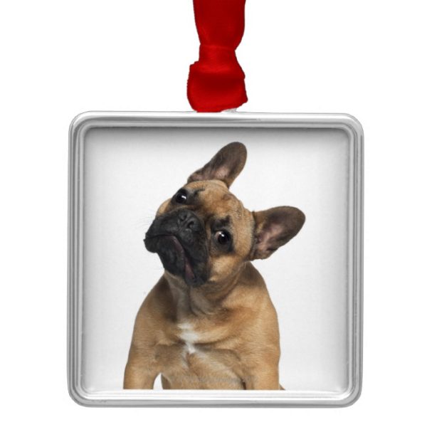 French Bulldog puppy (7 months old) Metal Ornament