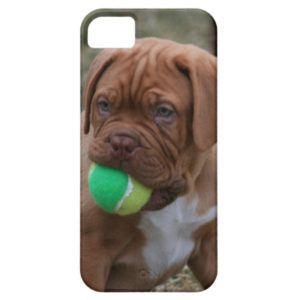 French Mastiff Puppy Case-Mate iPhone Case