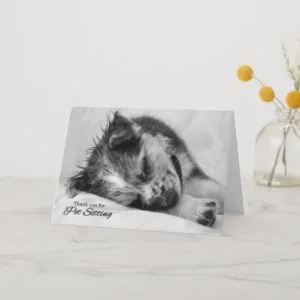 From the Pet Thank You for Pet Sitting