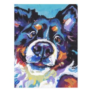 FUN Bernese Mountain Dog pop art painting Postcard