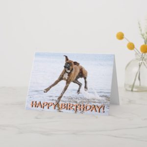 Funny boxer dog birthday card