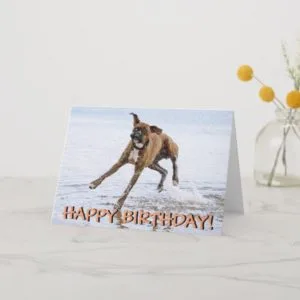Funny boxer dog birthday card