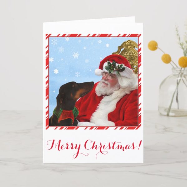 Funny, cute Doberman dog, Santa Christmas card