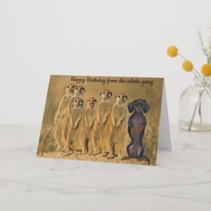 Funny Dachshund Birthday Card From The Gang