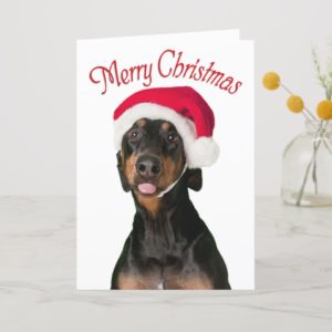 Funny Doberman dog Christmas cards