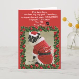 Funny Dog Doesn't Want Clothes Christmas Card