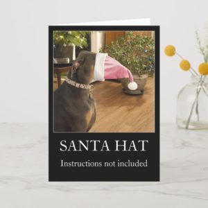 Funny dog Santa hat Christmas greeting card