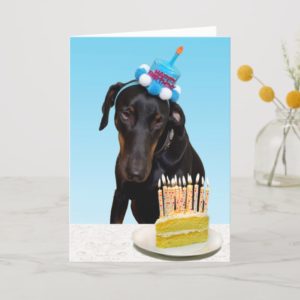 Funny dog with cake Birthday Card