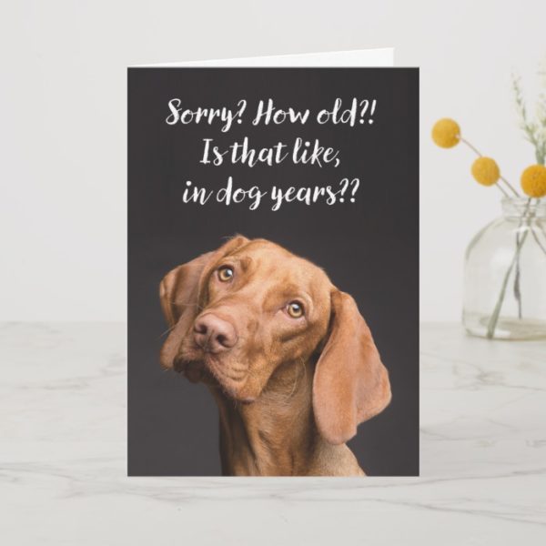 Funny Dog Years Birthday Card