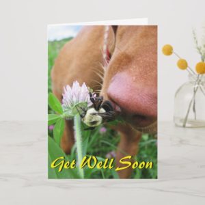 Funny "Get Well Soon" card