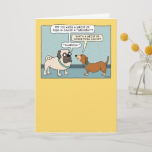 Funny Pug and Dachshund Birthday Card