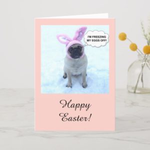 Funny Pug with Easter Bunny ears Holiday Card