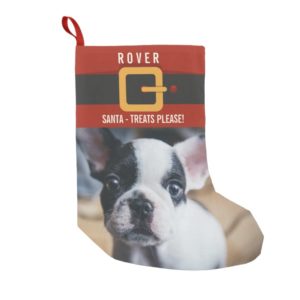Funny Santa Claus Dog Photo and Name Personalized Small Christmas Stocking
