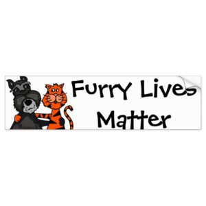 Funny Schnauzer Dog Hugging Tiger Cat Bumper Sticker