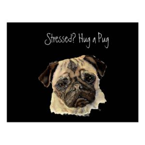 Funny, Stressed? Hug a Pug!, Dog, Pet, Animal Postcard