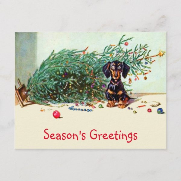 Funny Vintage Christmas Tree with a Dachshund Holiday Postcard