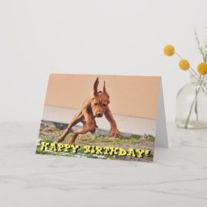 Funny vizsla puppy birthday card