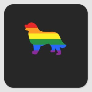 Gay Pride Dog Bernese Mountain Dog Gay Pride Dog Square Sticker