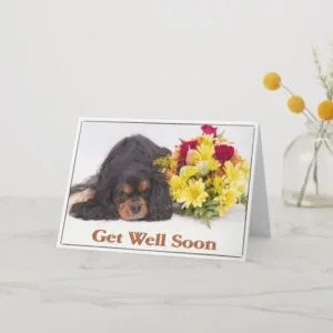Get Well Cavalier King Charles Spaniel Card