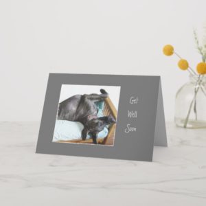 Get Well Soon Fun Great Dane Dog Sleeping Humor Card