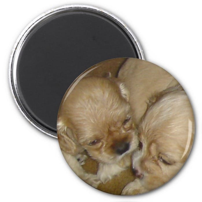 Give me a kiss magnet