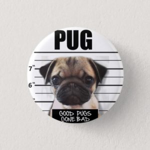 good pugs gone bad button