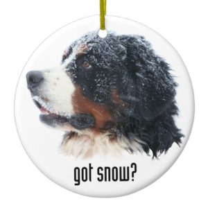 got snow? Bernese Mountain Dog Ceramic Ornament