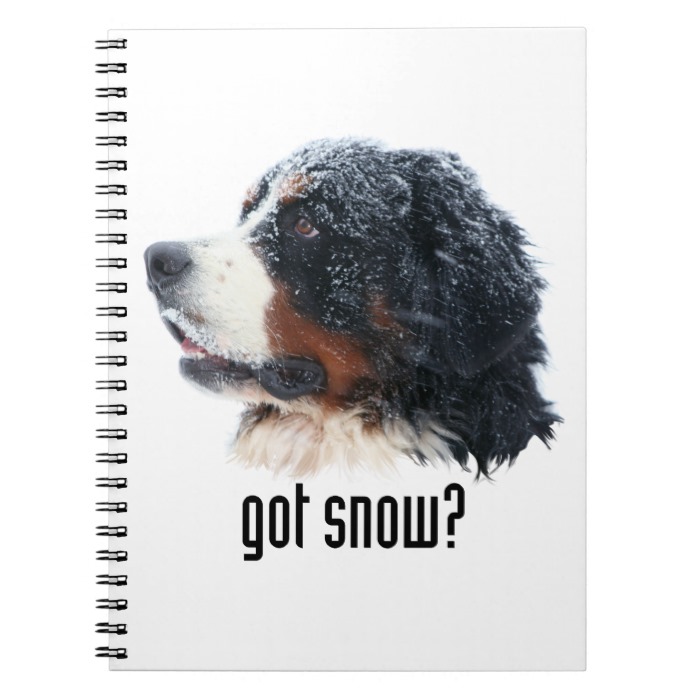 got snow? Bernese Mountain Dog Notebook