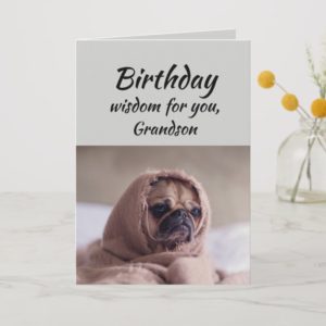 Grandson Humor Birthday Wisdom Cute Pug Dog Card